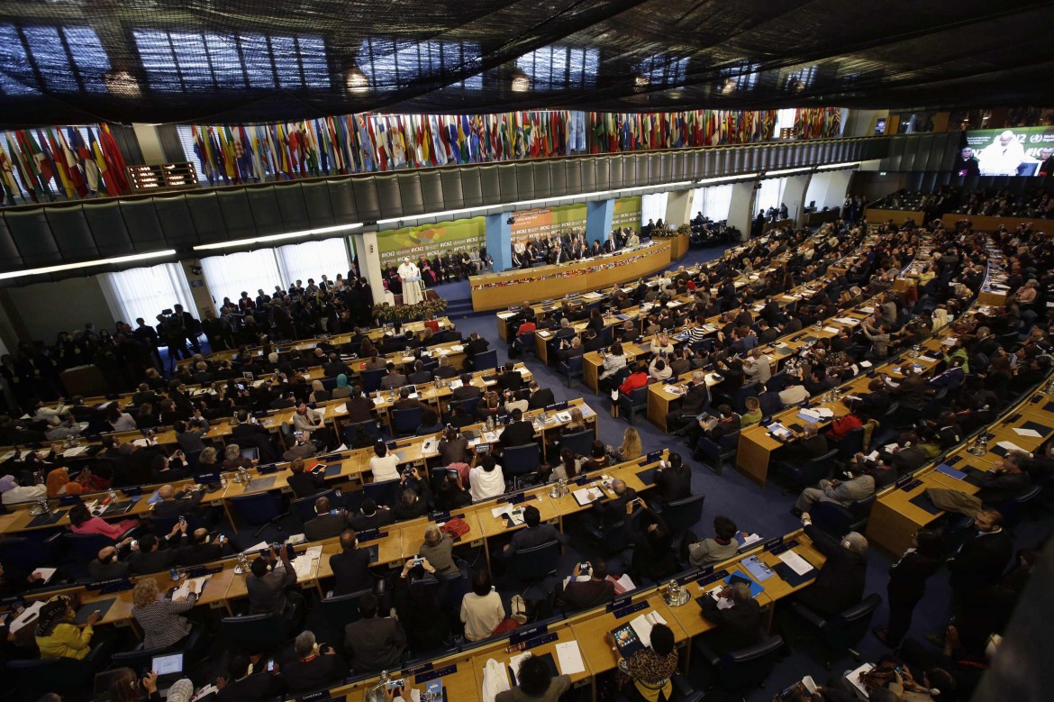 Dalla Fao una priorità: costruire sistemi alimentari resilienti