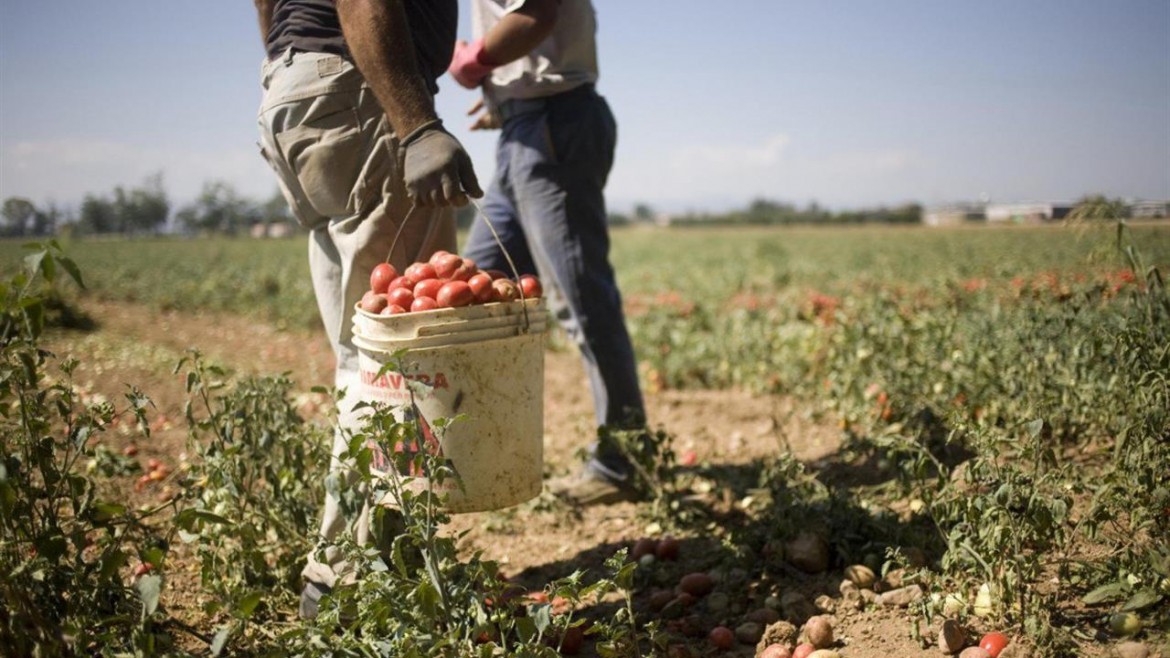 A Marsala è caccia ai lavoratori stranieri: cinque raid in pochi giorni