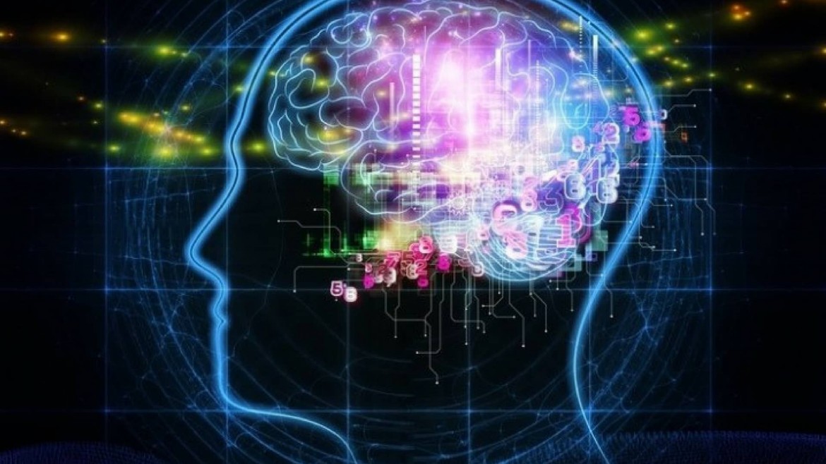 Una disciplina che produce sfiducia e smarrimento Una disciplina che produce sfiducia e smarrimento