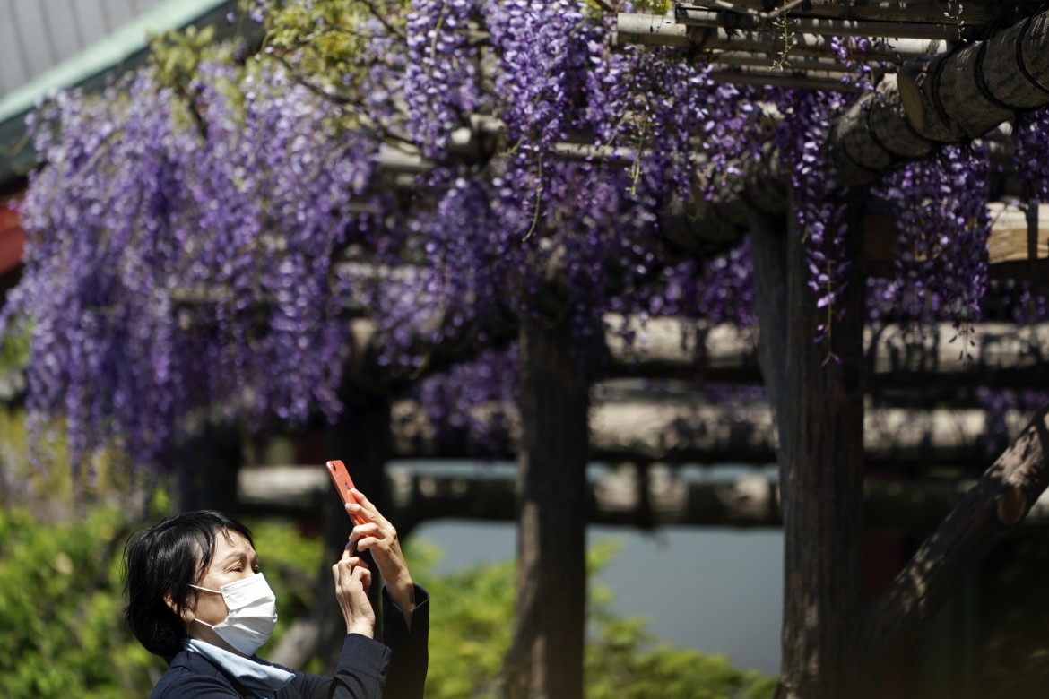 Jepang viral