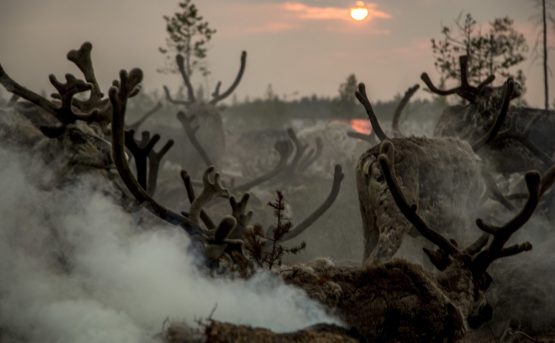 Effetti drammatici del cambiamento climatico anche sulle epidemie