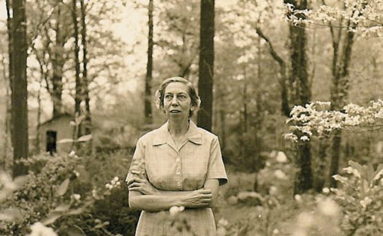 Eudora Welty metonimia geografica di una terra di schiavi cotone e belle canzoni