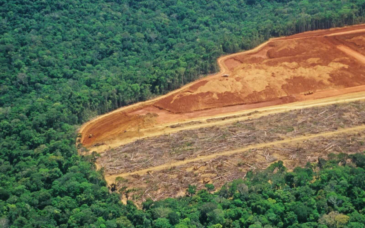 JBS, produce carne e disbosca l’Amazzonia