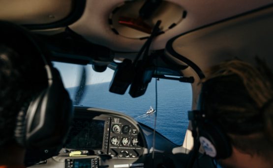 Ali sul Mediterraneo