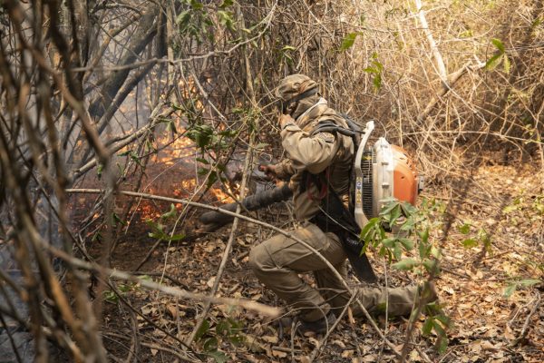 18est2-brasile-pantanal-incendio-foto-ap-935