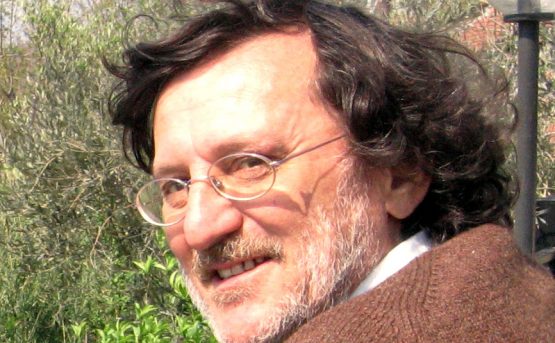 Un leone dalla rossa criniera