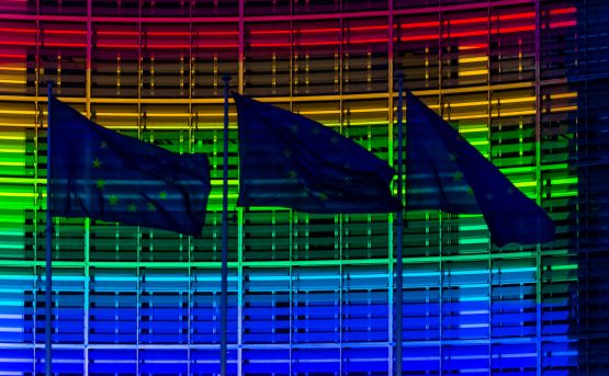 Monaco tifoso con la bandiera arcobaleno scende in campo prima della partita degli Europei Germania Ungheria in basso Viktor Orbn Monaco tifoso con la bandiera arcobaleno scende in campo prima della partita degli Europei Germania Ungheria in basso Viktor Orbn