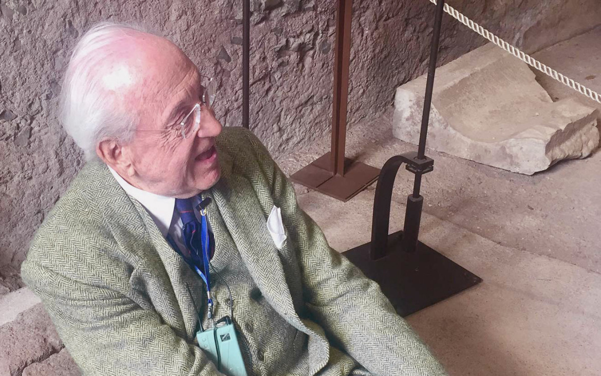 Carandini scava Carandini | il manifesto