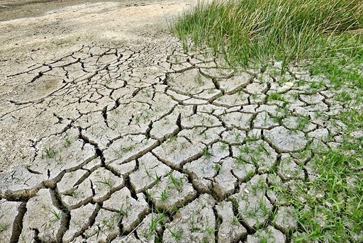 In Calabria guerra dellacqua i contadini restano a secco