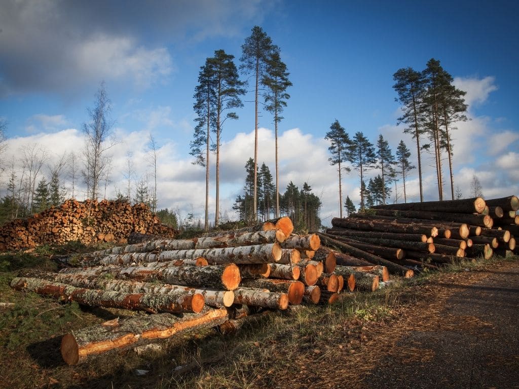 Pianeta Terra, le sfide per una sostenibilità «esistenziale» Pianeta Terra, le sfide per una sostenibilità «esistenziale»