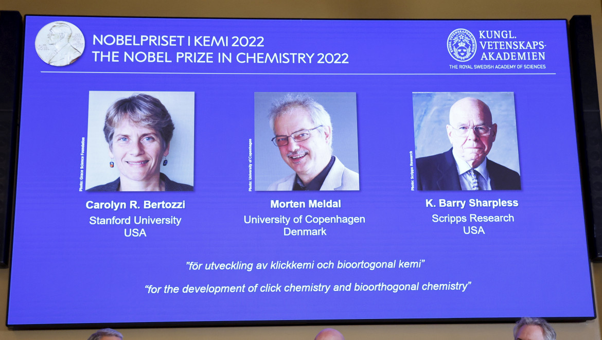 Nobel per la chimica, premiate le molecole a montaggio rapido Nobel per la chimica, premiate le molecole a montaggio rapido