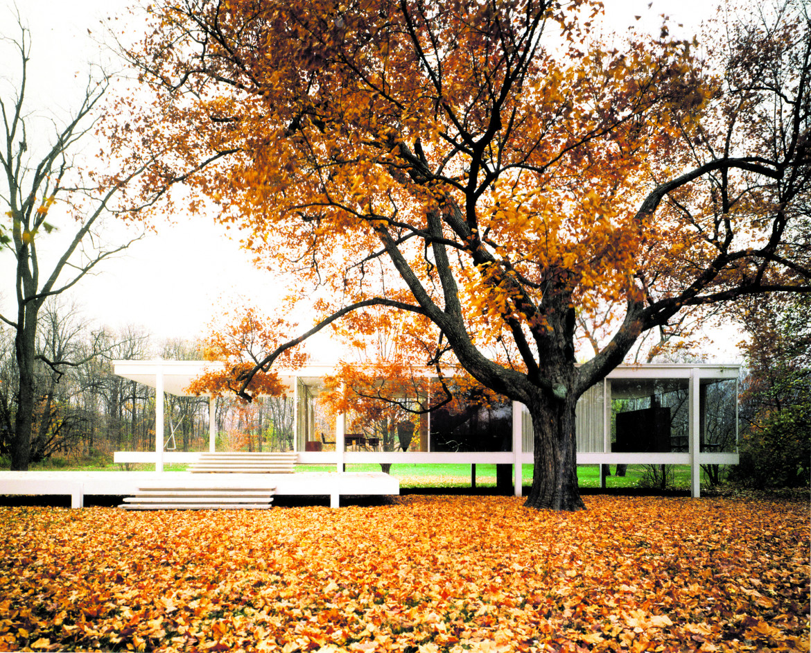 Ludwig Mies van der Rohe, we dreamed in the shade of the black maple