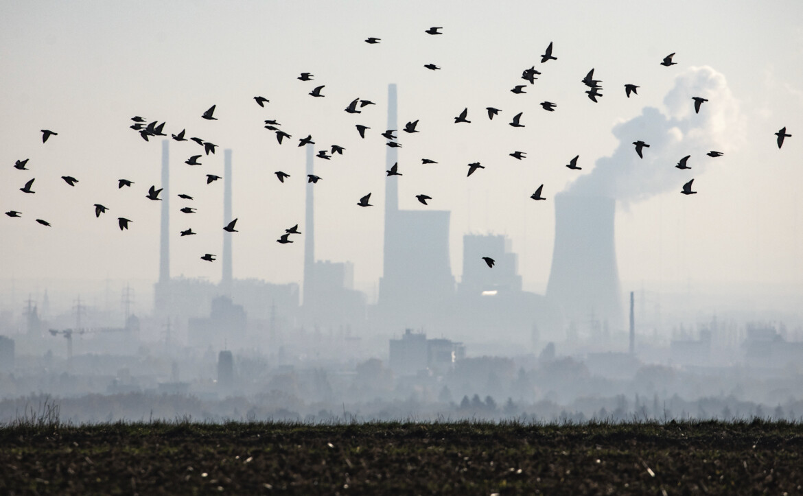 Biodiversità: serve una rivoluzione