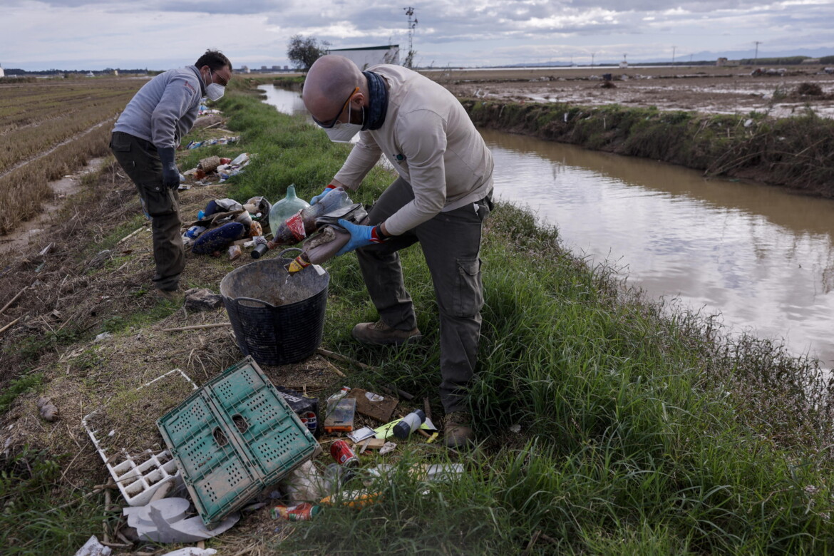 L’Albufera conta i danni, tra biodiversità a rischio e paura dell’inquinamento