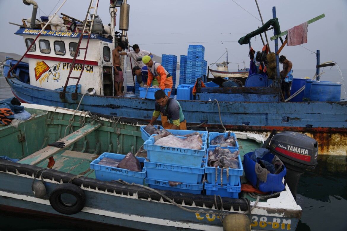In Europa sono ancora troppo alti i livelli di metilmercurio e mercurio presenti nel tonno e nel pesce spada