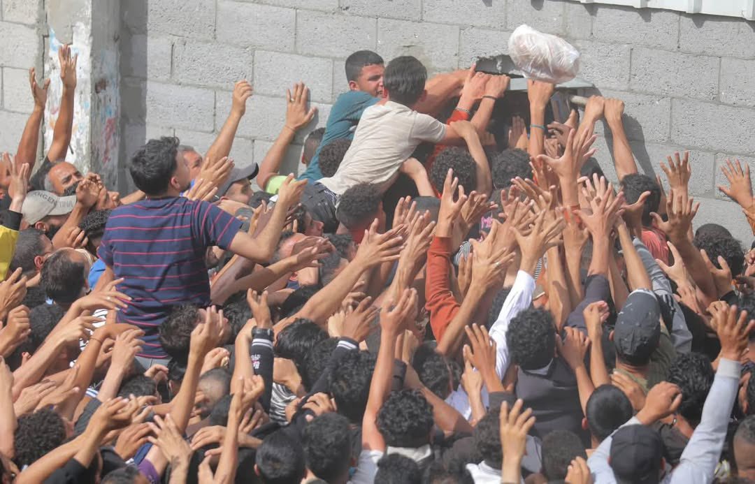 assalto ai forni gaza affamata e umiliata onu crudeltà