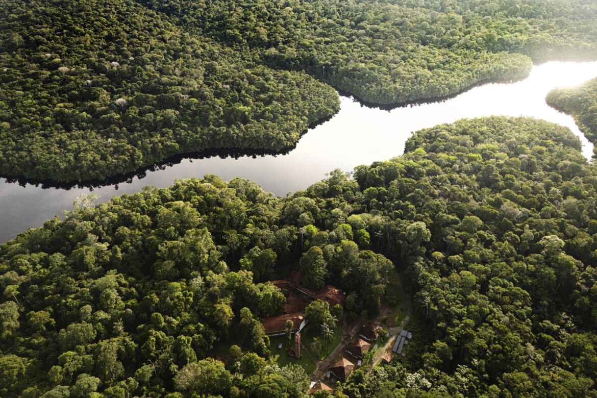La «Devastazione» dell’Amazzonia è legge La «Devastazione» dell’Amazzonia è legge