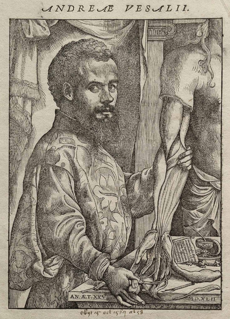 Quando il corpo è un’arte storica e illustrabile Quando il corpo è un’arte storica e illustrabile