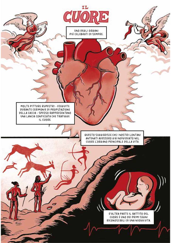 Storie e avventure del battito cardiaco narrate in immagini Storie e avventure del battito cardiaco narrate in immagini