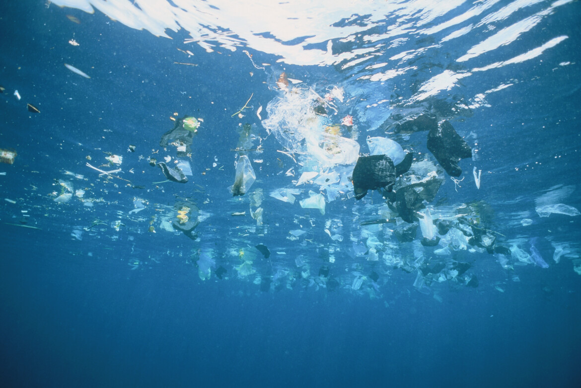 L’appello degli scienziati: «aiutiamo gli oceani ad aiutare il Pianeta» L’appello degli scienziati: «aiutiamo gli oceani ad aiutare il Pianeta»