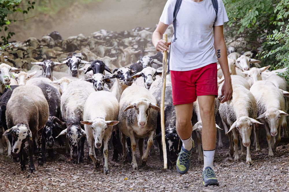 Una scuola per la pastorizia estensiva di Calascio, nel cuore dell’Abruzzo. Un’idea di Slow Food e D.R.E.Am Italia Una scuola per la pastorizia estensiva di Calascio, nel cuore dell’Abruzzo. Un’idea di Slow Food e D.R.E.Am Italia