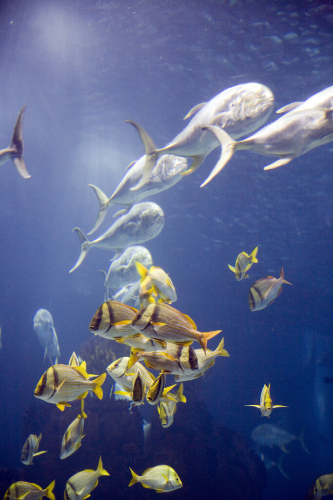 Un oceano di guai, 5 giorni per arginare il collasso