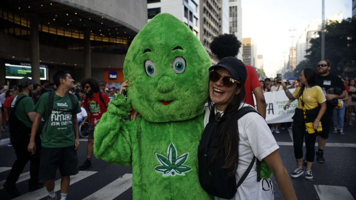 La sfida della cannabis tra repressione e liberalizzazione La sfida della cannabis tra repressione e liberalizzazione