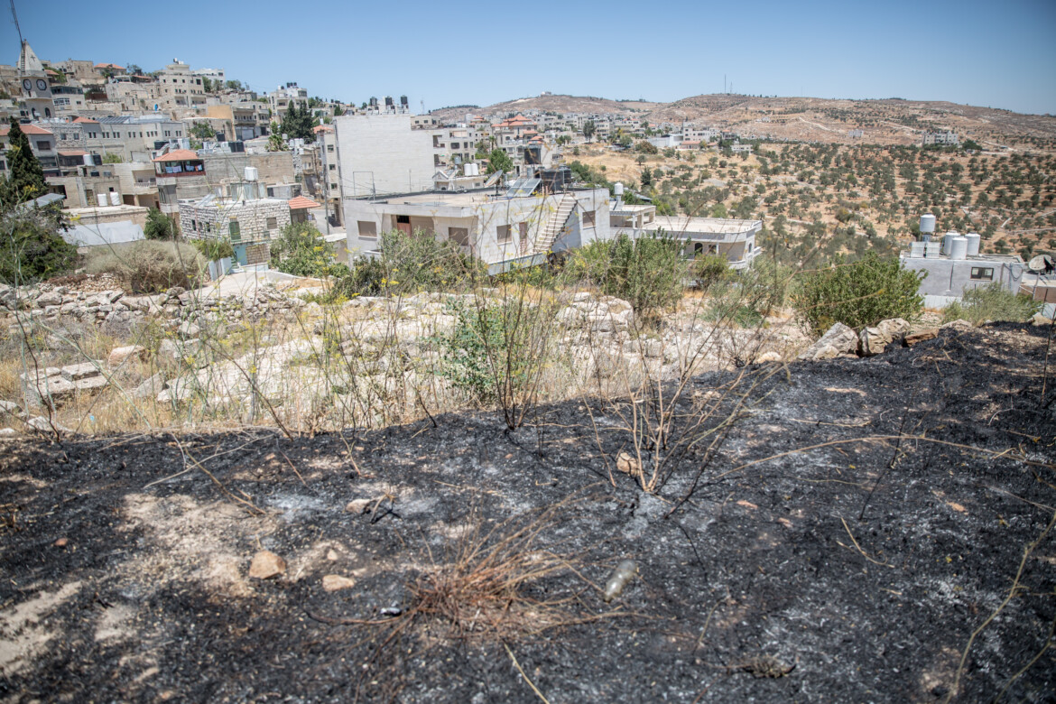 Taybeh resiste. Cristiani palestinesi in prima linea Taybeh resiste. Cristiani palestinesi in prima linea