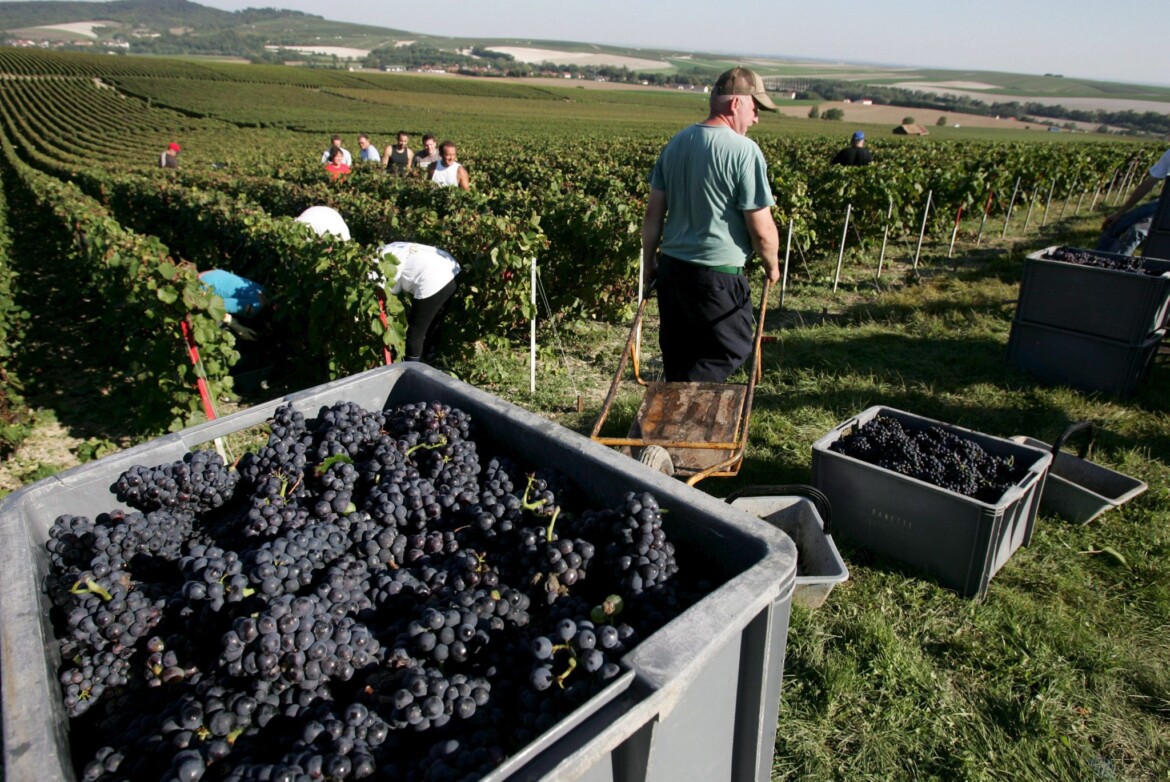L’Europa si muove ma solo per il vino, è Bernard Arnault a guidare la carica L’Europa si muove ma solo per il vino, è Bernard Arnault a guidare la carica