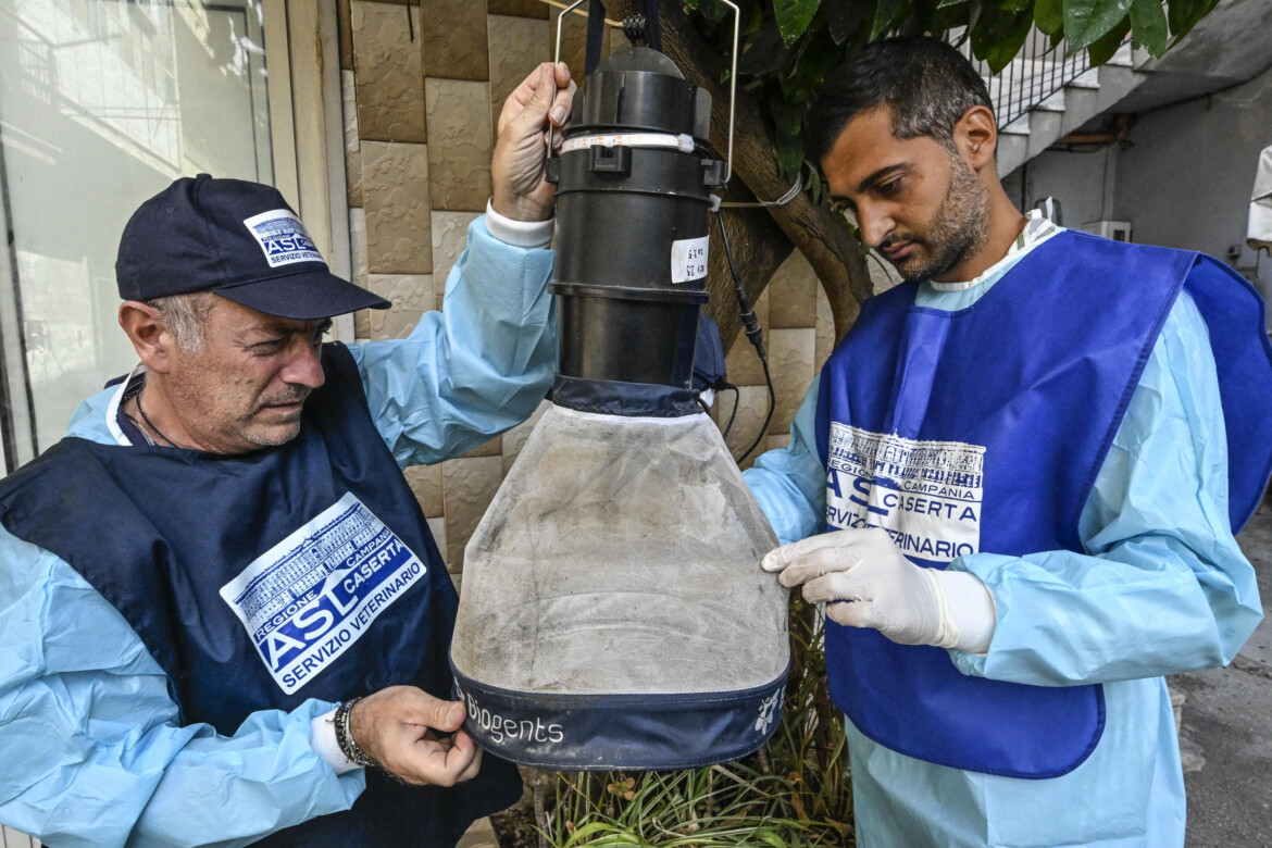 il west nile miete un8217altra vittima ma attenzione a creare allarmismi