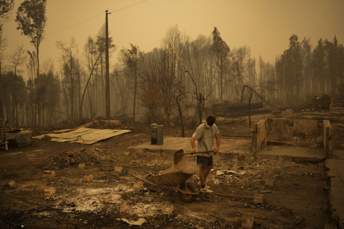 2024, l’anno record degli incendi: rasi al suolo 13,5 milioni di ettari di foreste 2024, l’anno record degli incendi: rasi al suolo 13,5 milioni di ettari di foreste