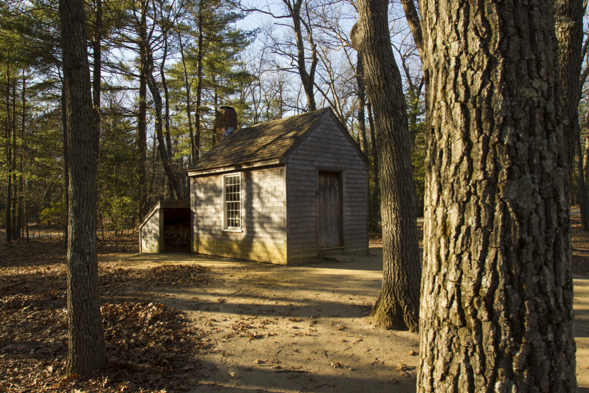 Thoreau, una profezia tra natura e libertà