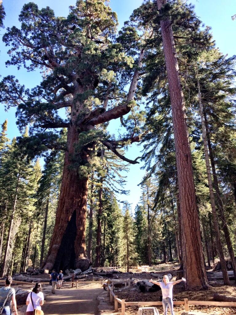 Wilderness, una sfida nel cuore dell’America Wilderness, una sfida nel cuore dell’America