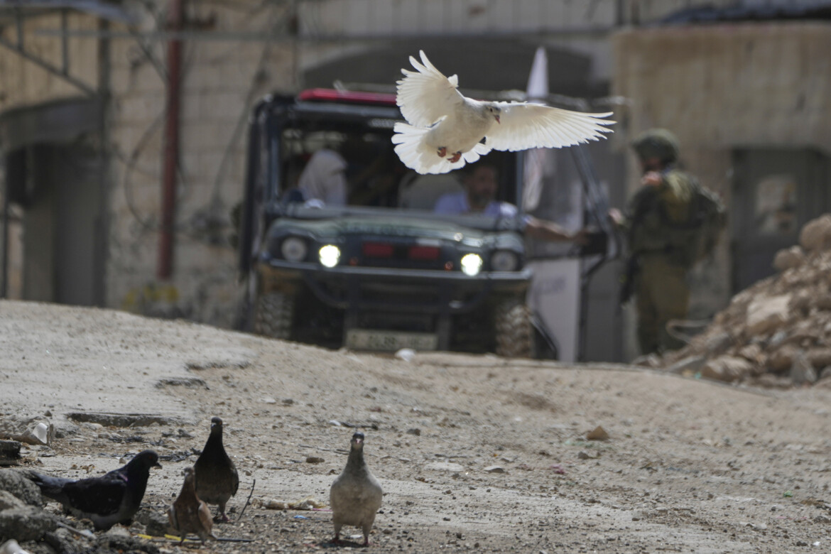 La confederazione Palestina-Israele, una fantasia senza alternative