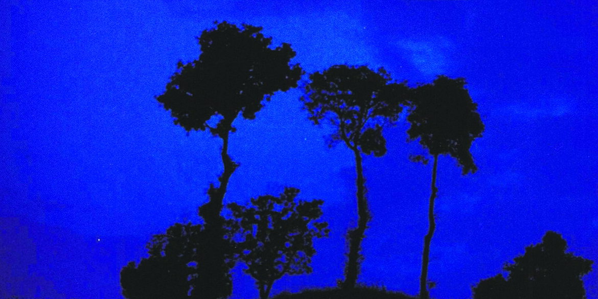 «Il pianeta azzurro», piccole parti di un tutto «Il pianeta azzurro», piccole parti di un tutto