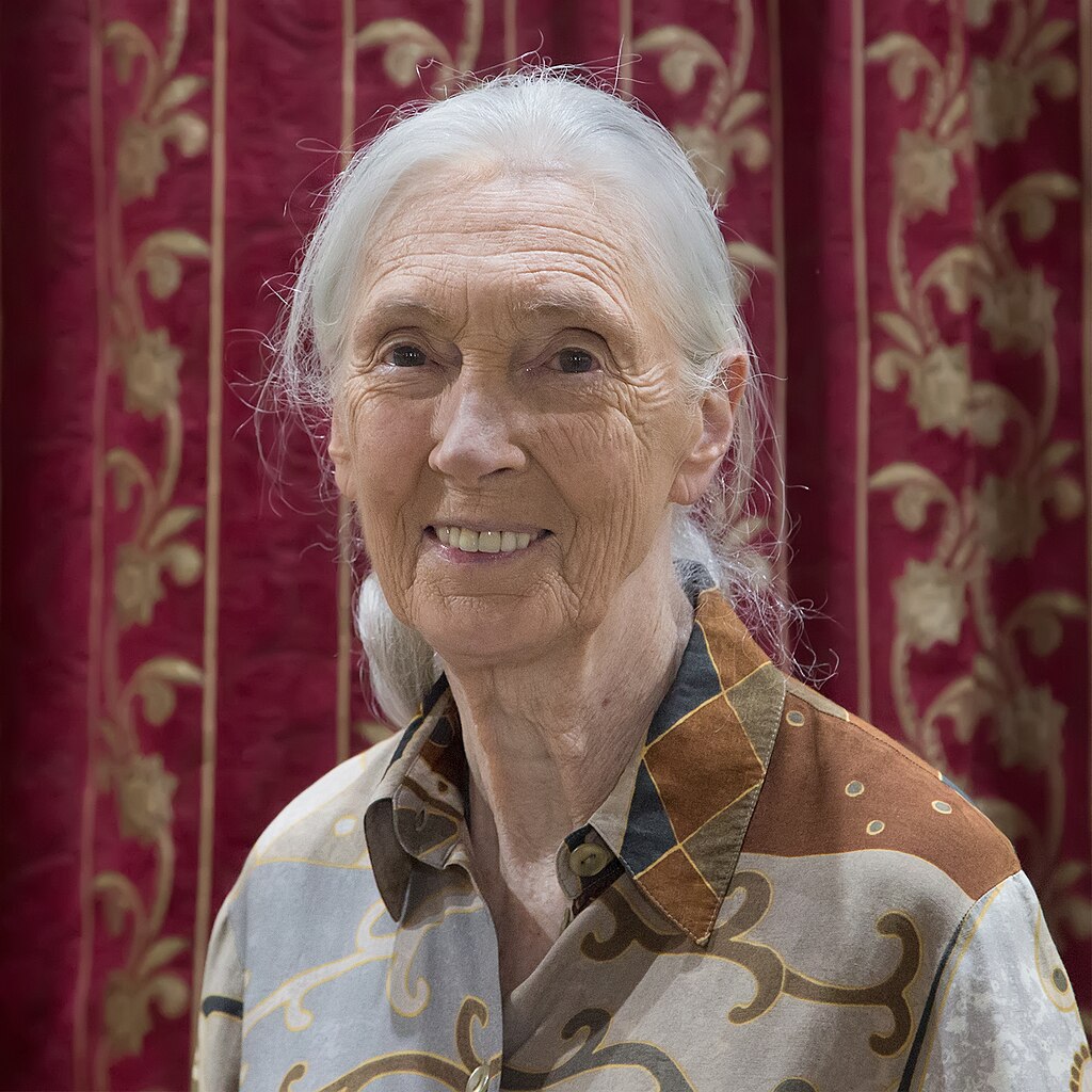 Jane Goodall, regina della etologia e della giungla