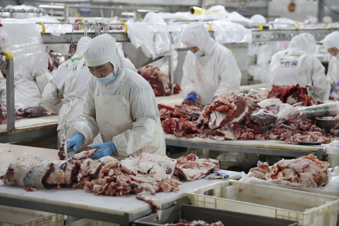 Uno studio del Politecnico di Milano: «La fame di carne della Cina alimenta il consumo di risorse naturali in Brasile» Uno studio del Politecnico di Milano: «La fame di carne della Cina alimenta il consumo di risorse naturali in Brasile»