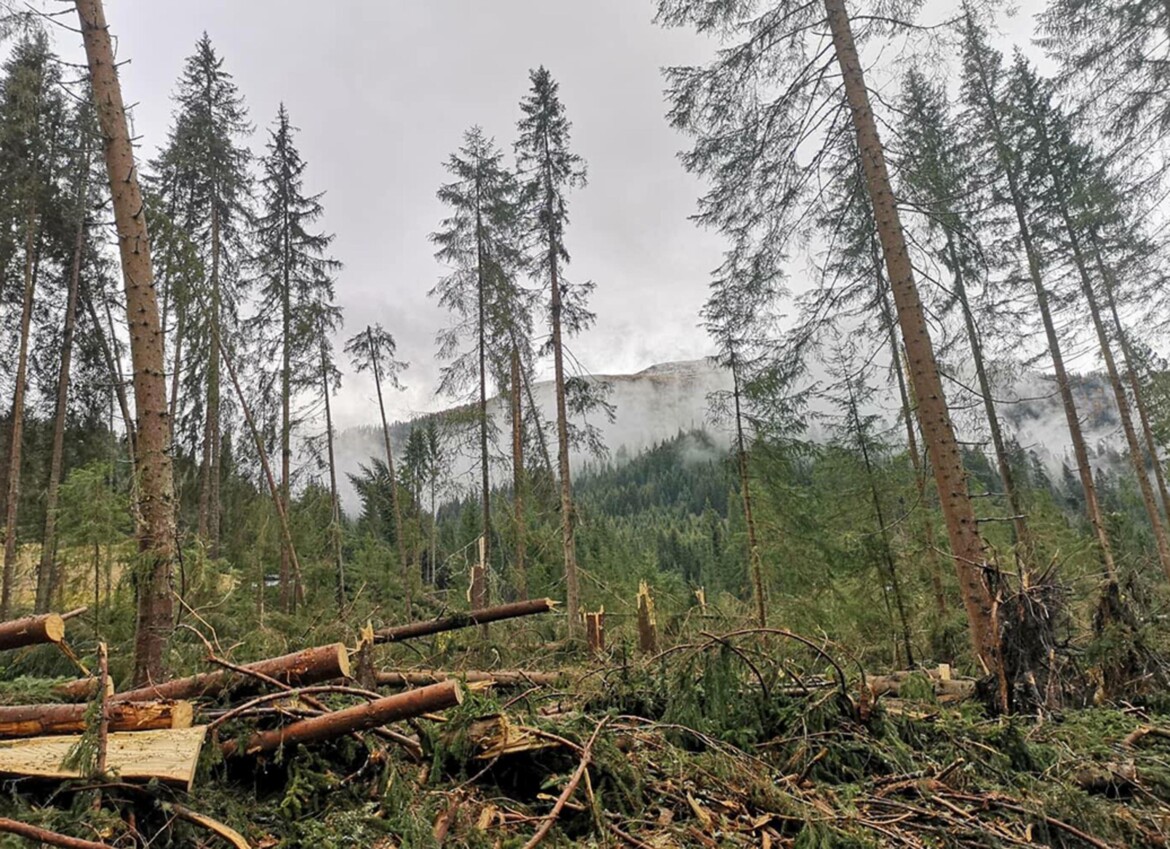 Osservatorio Europa: le notizie in breve