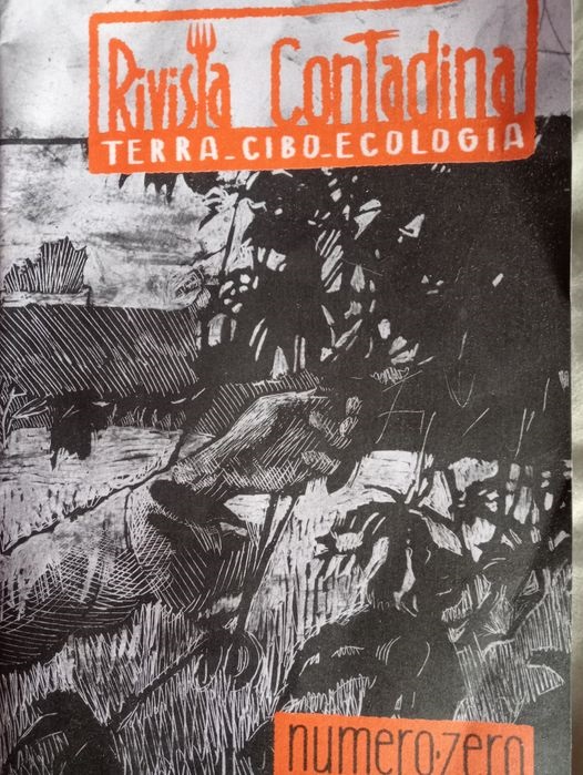 Occhi studiosi e di movimento per la rivista che guarda il mondo
