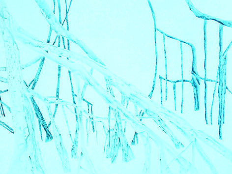 Liane, lato oscuro del paesaggio: Irene Kopelman