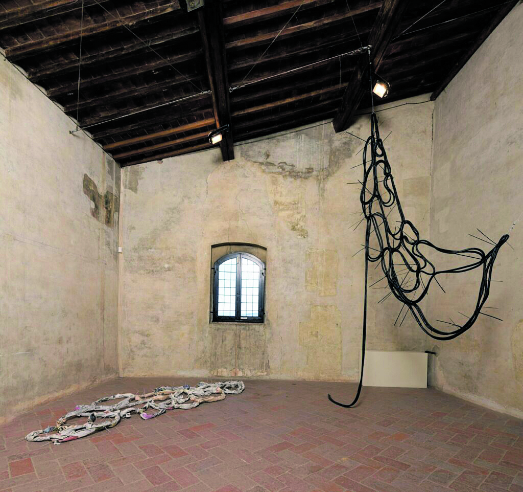 Fiammetta, spazi comportamentali Fiammetta, spazi comportamentali