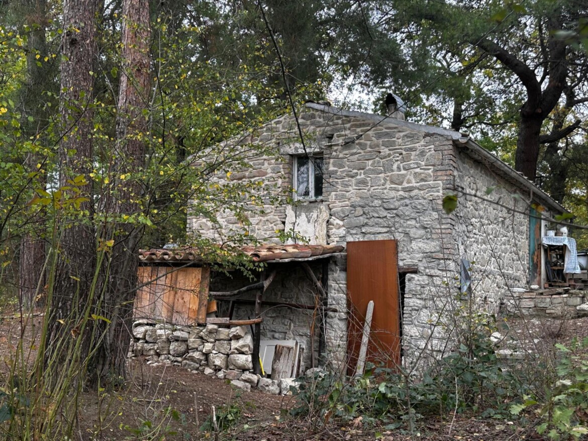 la casa nel bosco salvini contro i giudici sequestro di bimbi