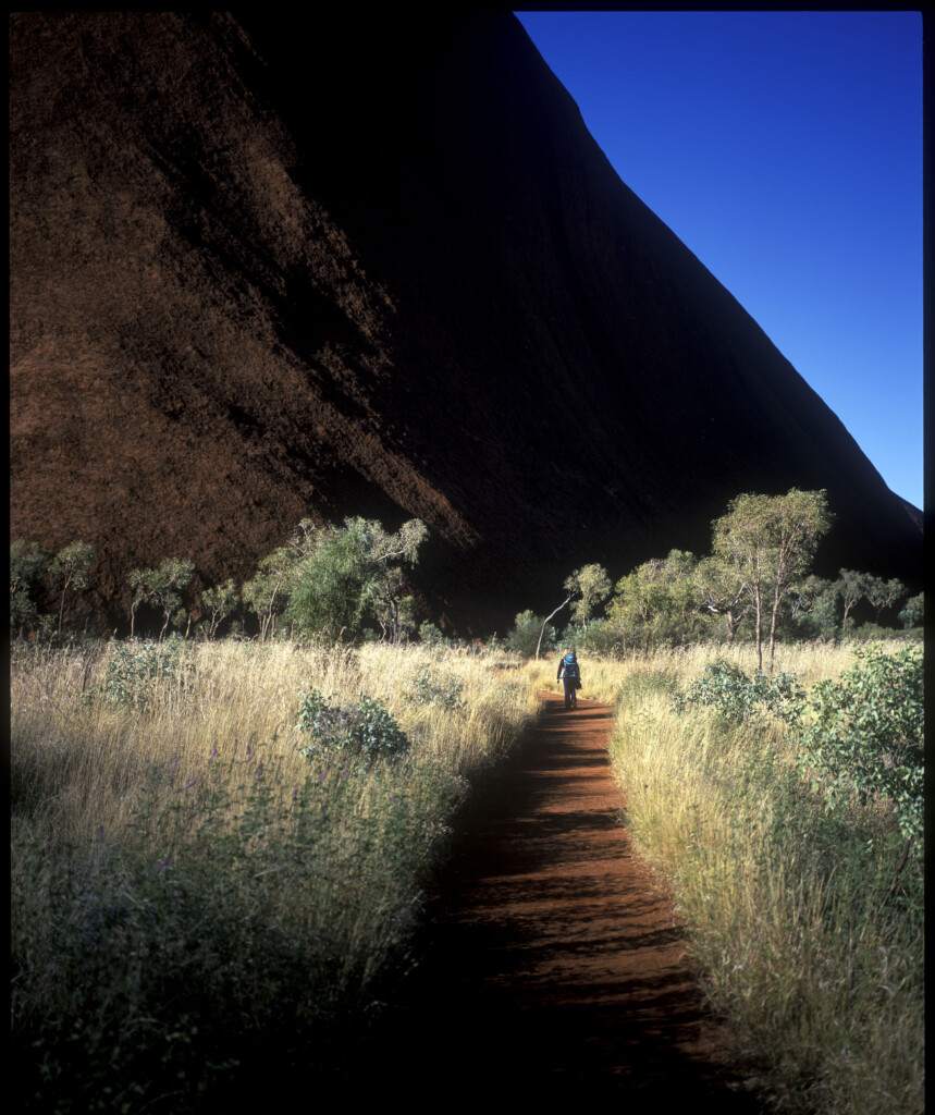 cameron stewart cacciare la perdita attraverso il bush da Cms.ilmanifesto.it cameron stewart cacciare la perdita attraverso il bush