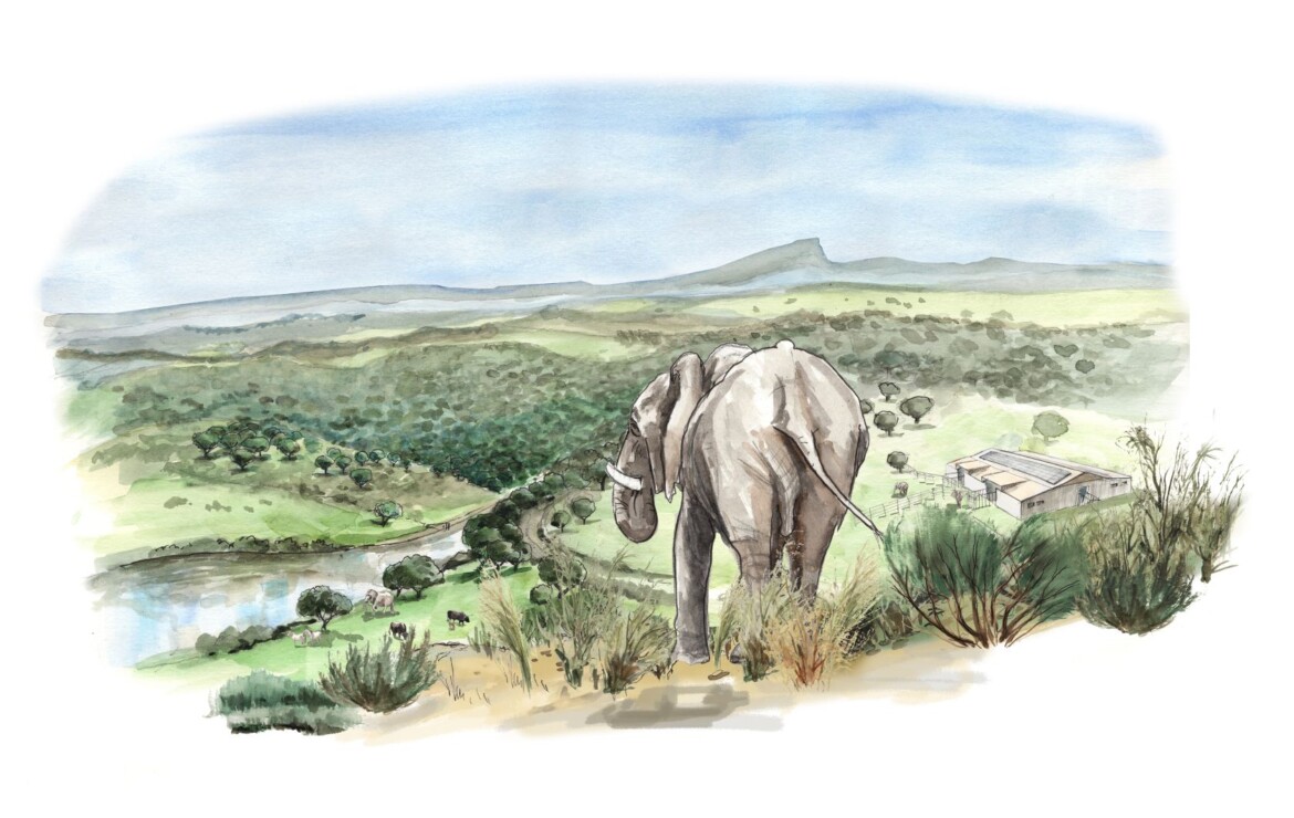 osservatorio europa le notizie in breve da Cms.ilmanifesto.it osservatorio europa le notizie in breve