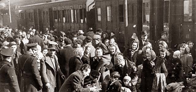 il treno della vergogna da Cms.ilmanifesto.it il treno della vergogna